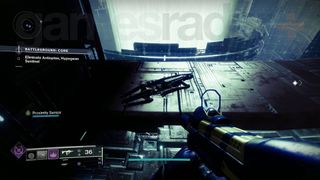 Destiny 2 Echoes Specimen ID: NES006 vex torch hammer