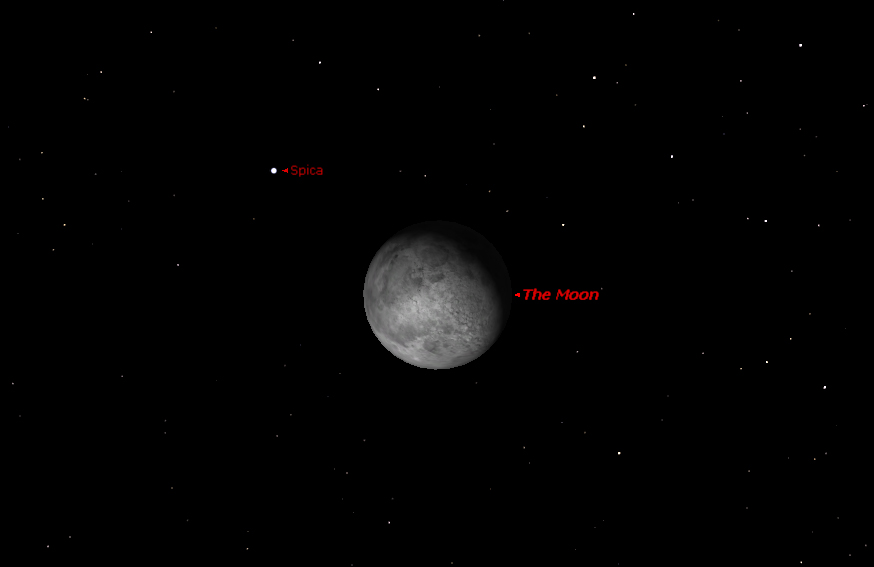 This sky map shows the night sky in the wee hours of March 1 (Friday) at 1 a.m., when the moon and the bright star Spica will be closest together.