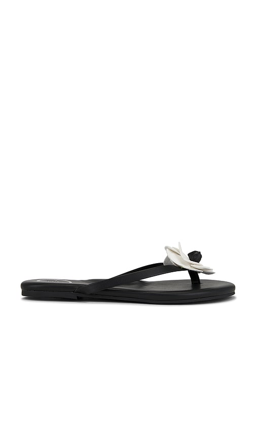 Valentina Sandal