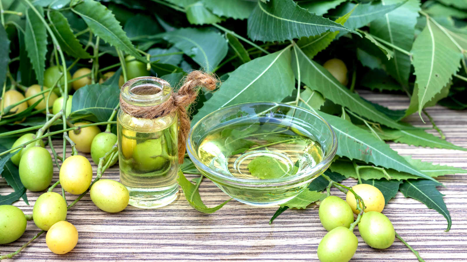 neem oil with neem fruits and leaves on table