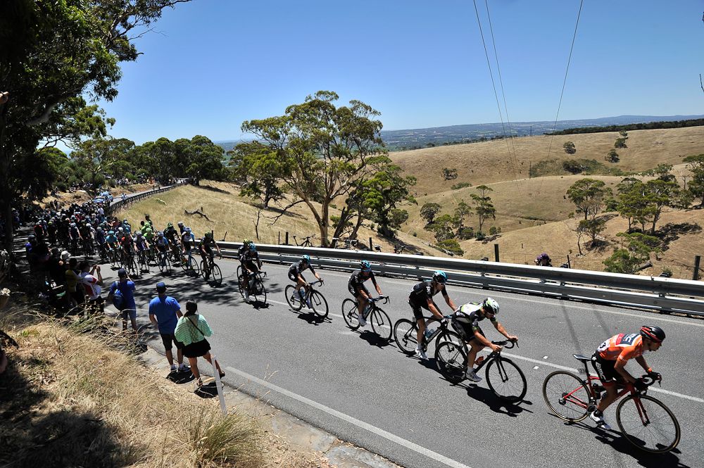 The peloton in action during stage 5 at the Tour Down Under
