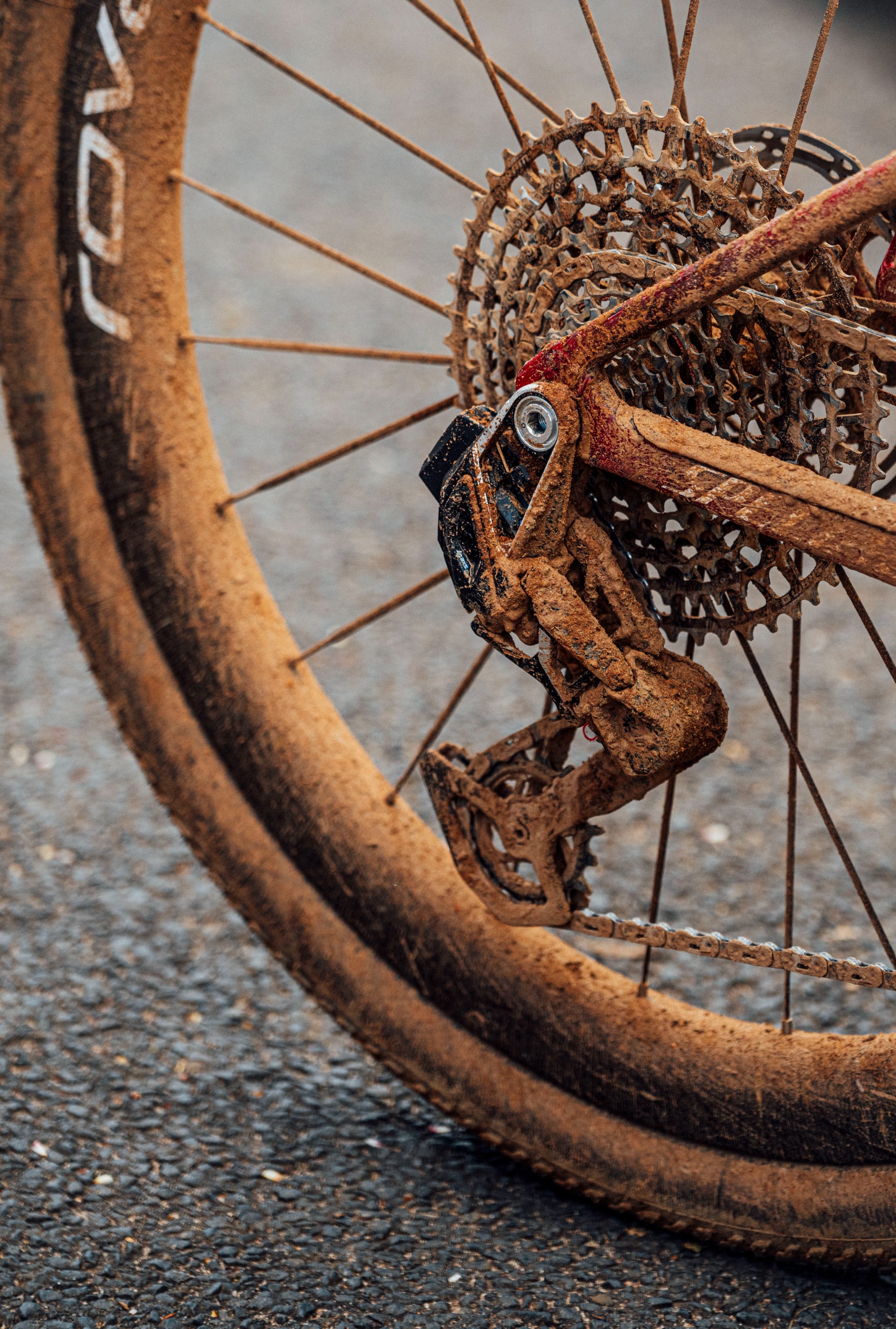 Bikes and tech from the 2026 UCI Gravel World Championship