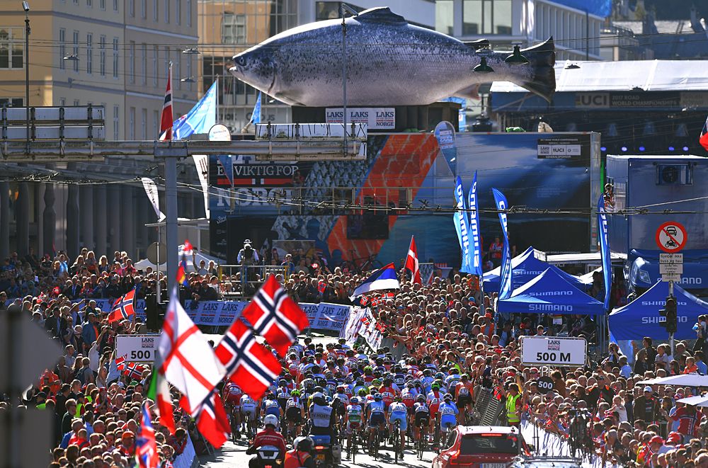 The elite women's road race at the UCI Road World Championships