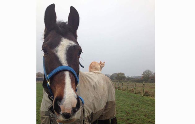 Casper and Crunchie