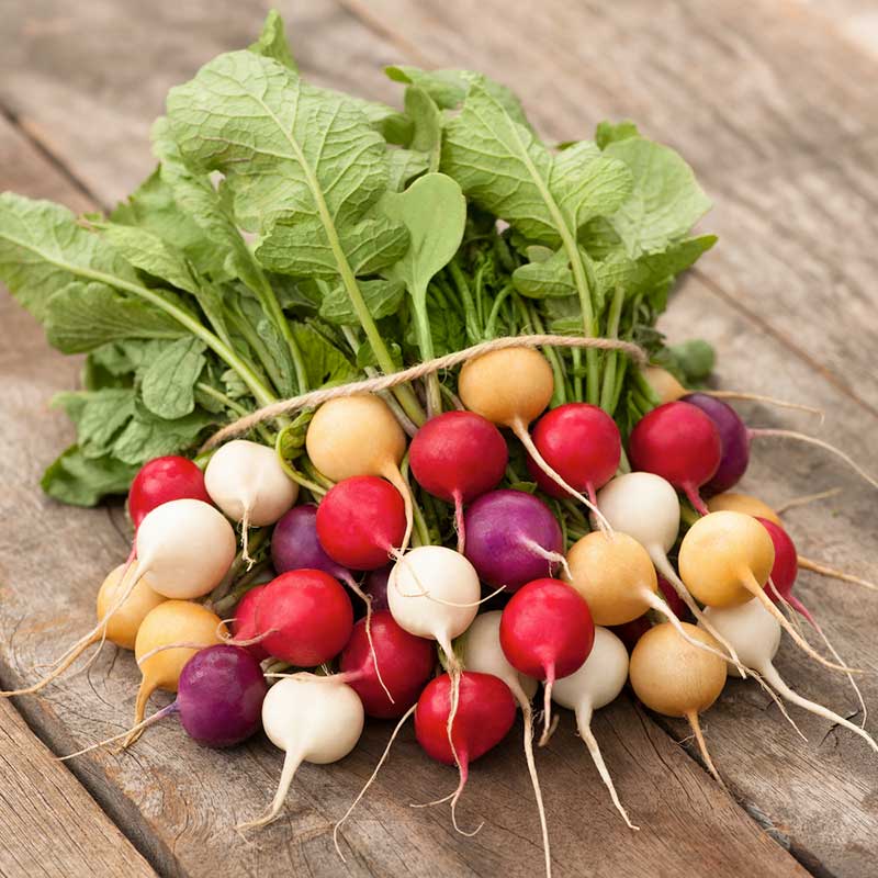 Radish Seeds - Easter Egg