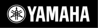 Dual Yamaha PM10s for Manilow Tour