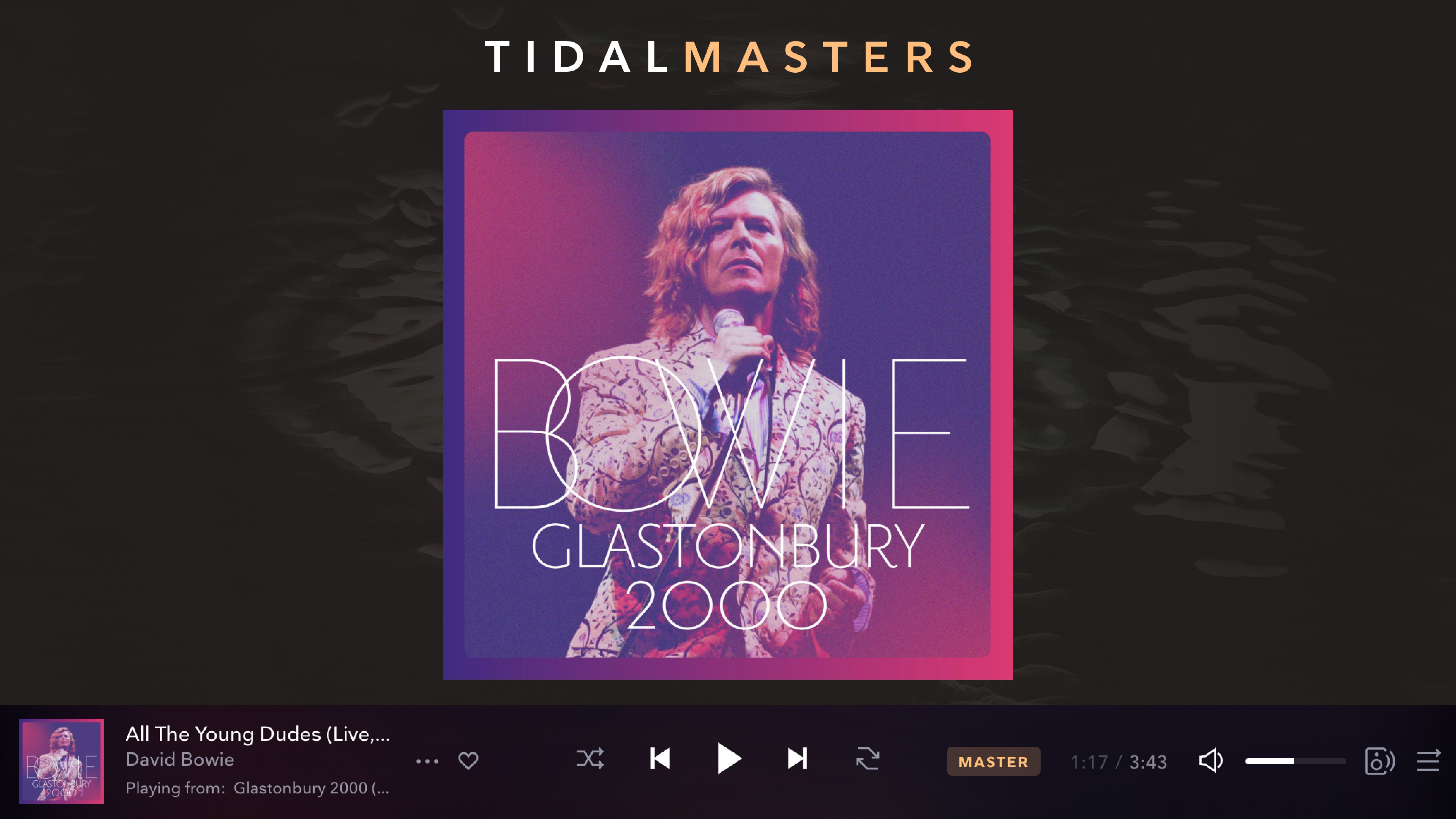 a screenshot of the tidal masters