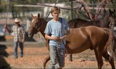 Lean-on-Pete.jpg