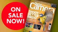 Front cover of issue 308 (June 2026) of Digital Camera World magazine and a red blob that reads 'On sale now!'