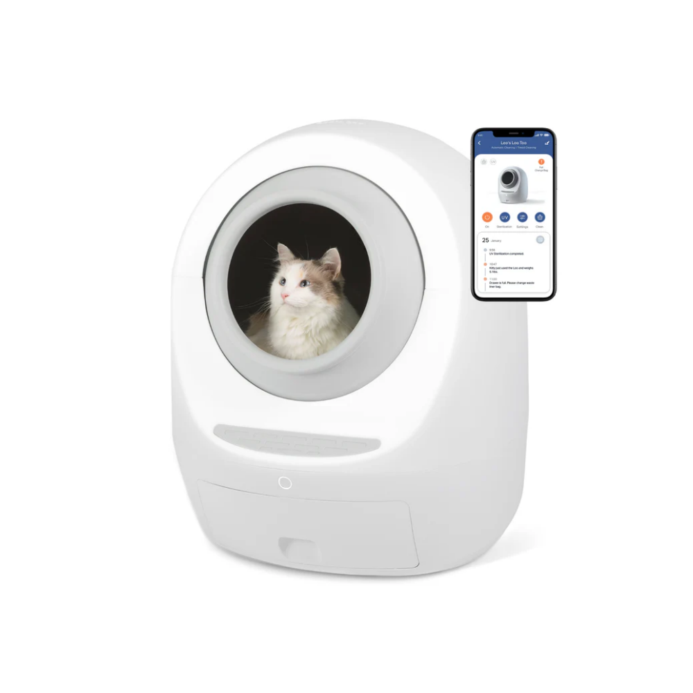 Casa Leo's Loo Too with cat inside and a photo of the app on a phone, one of the best automatic cat litter boxes
