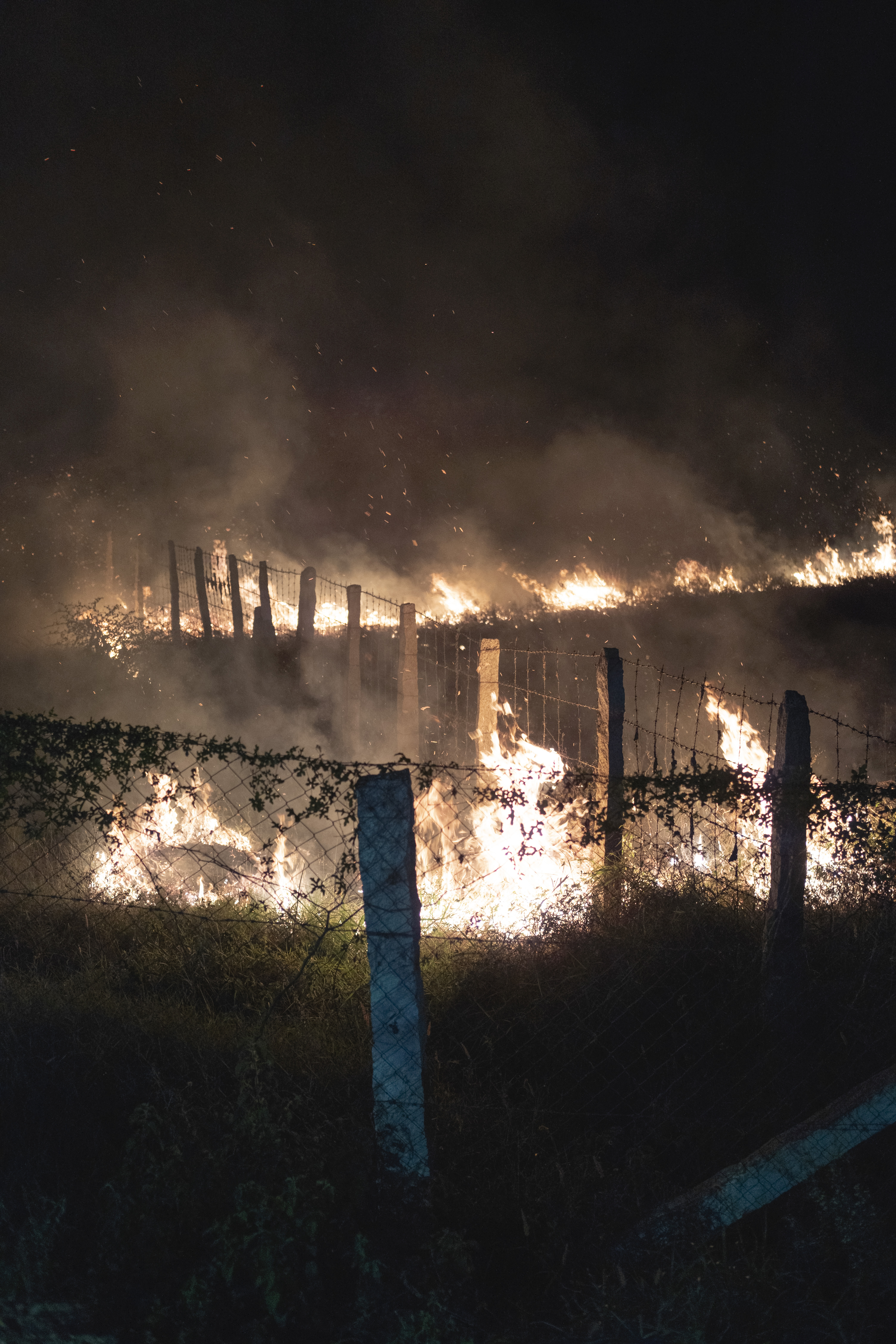 A fierce wildfire engulfs a fence at night, with flames and smoke billowing upwards. The scene is intense and chaotic, highlighting environmental destruction