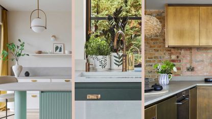 Modern Japanese Home Kitchen with Prepared Lunch on Counter