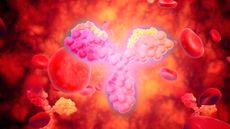 An illustration of a y-shaped group of pink blobs floats in the middle of a blood vessel.