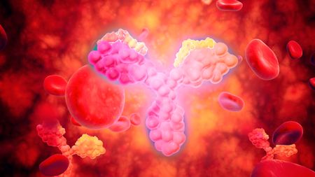 An illustration of a y-shaped group of pink blobs floats in the middle of a blood vessel.