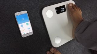 A smart scale which can measure body fat percentage