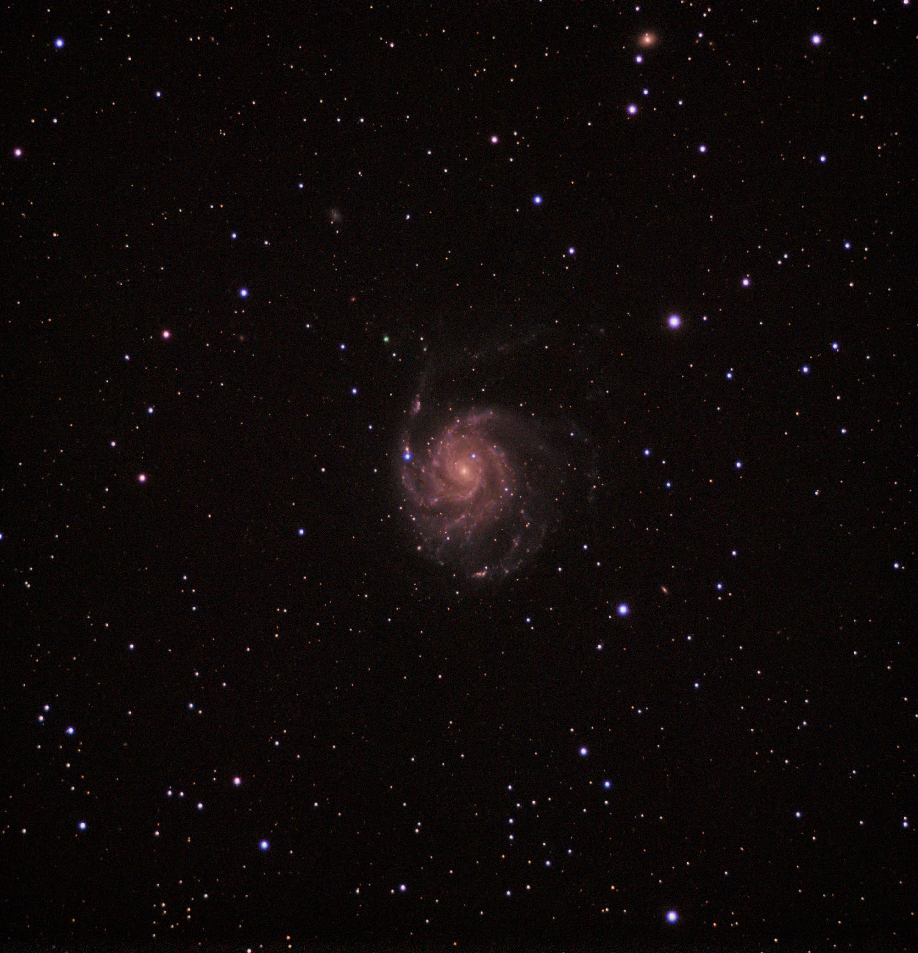 our astrophoto of the month is the supernova in the pinwheel galaxy, M101. The image shows a spiral galaxy against a background of stars and a bright point of light in the left-side spiralling arm.