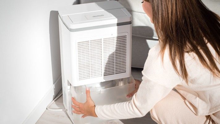 How to Clean a Humidifier, According to an Expert