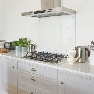 Basil plants growing on kitchen worktop in tin pots