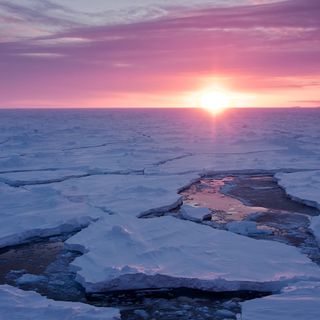 The sun setting over a field of broken sea ice, or frozen seawater that floats on the ocean, in Antarctica.