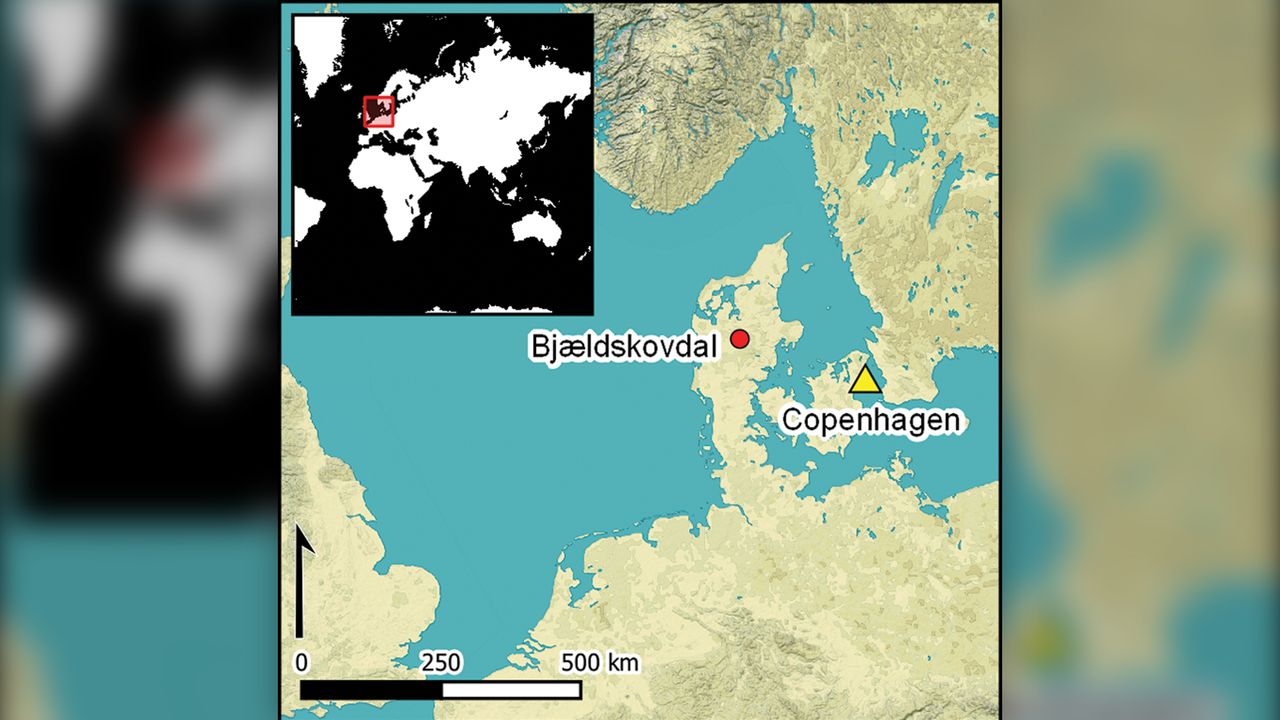 Tollund Man's remains were found in Bj&aelig;ldskovdal, Denmark in 1950.