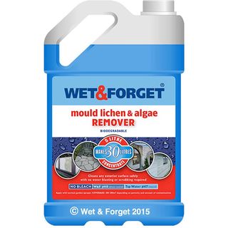 mould lichen and algae remover liquid