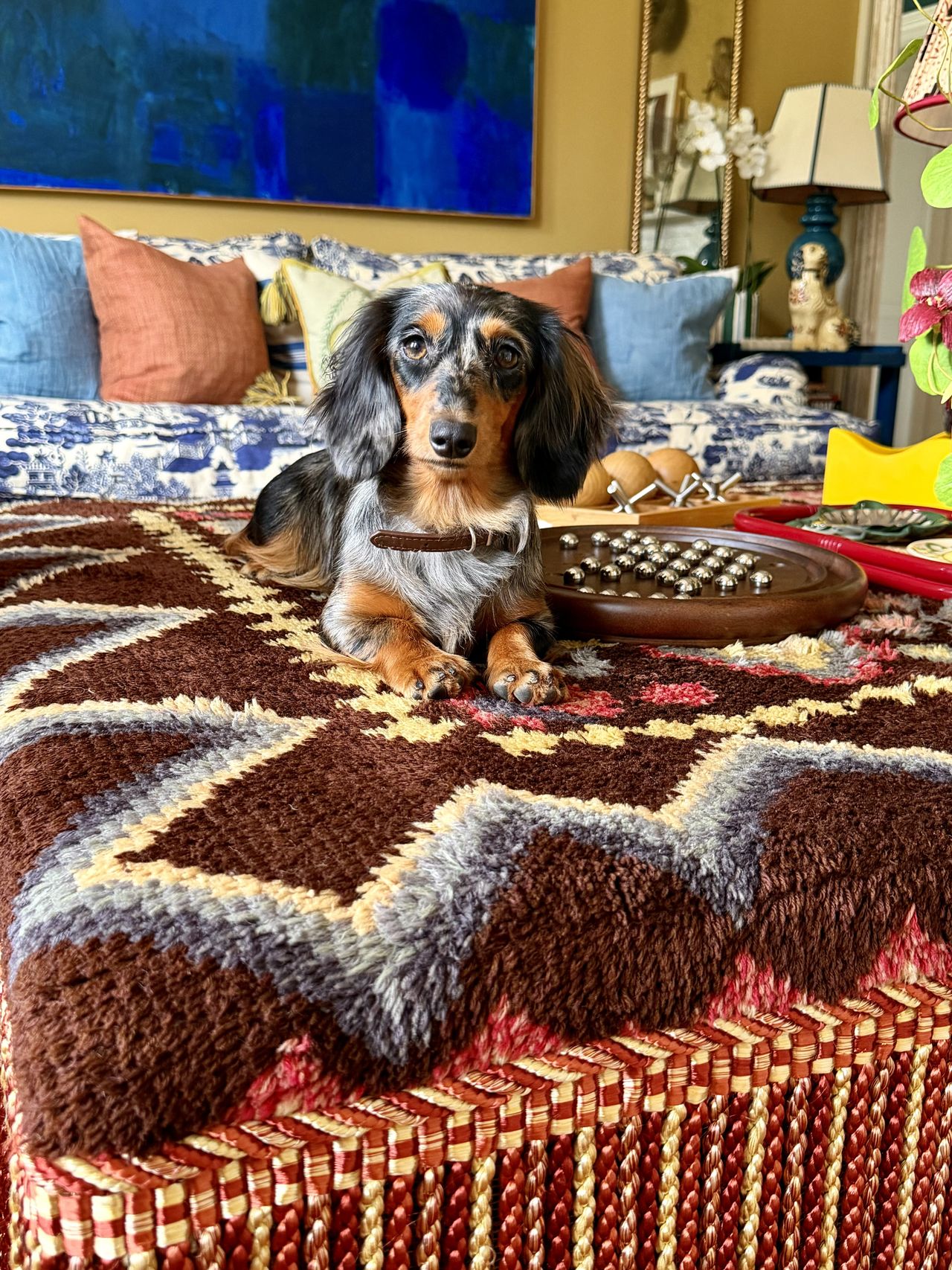 dog on bed
