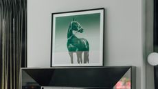 a horse photograph on a mantlepiece