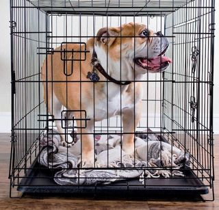 OxGord Dog Crate