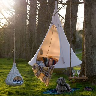 outdoor party with hanging chair and dog