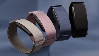 Garmin CIRQA Smart Band