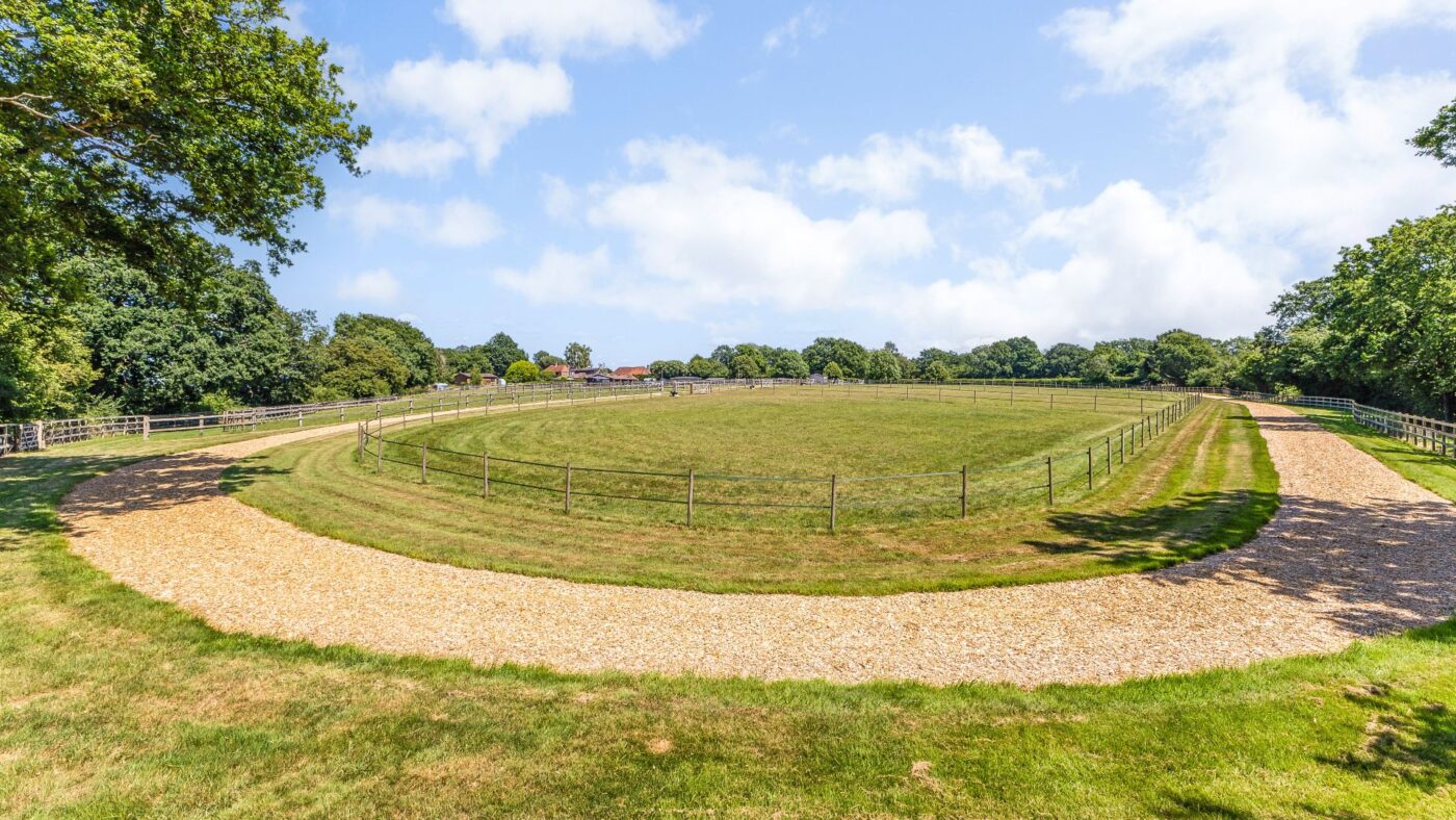 Guildenhurst-Stud-Savills-21-e1754911786936.jpg