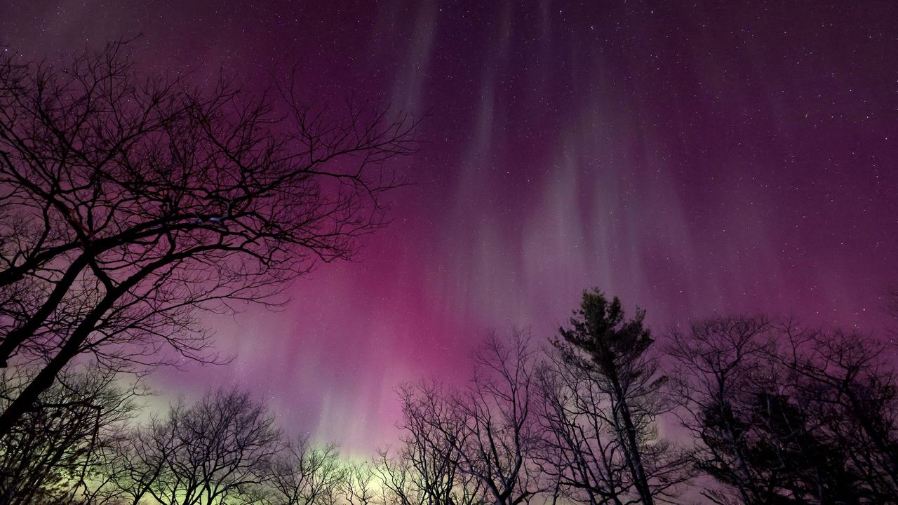 Auroras in Ontario, Canada, on March 24, 2023.