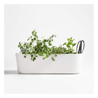 Indoor/Outdoor Herb Planter with Scissors