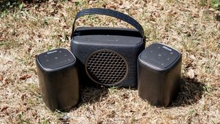 Rocksteady Stadium in a garden