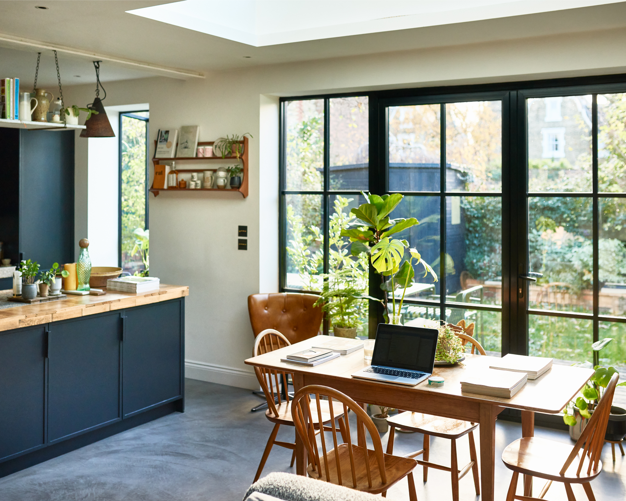 Kitchen with houseplants