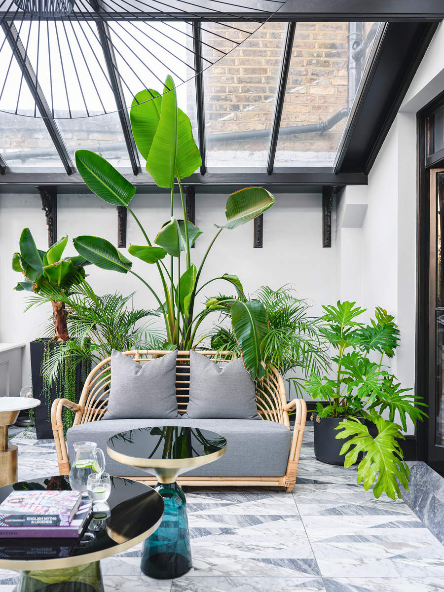 lush plants in a glass roofed extension with a modern grey sofa