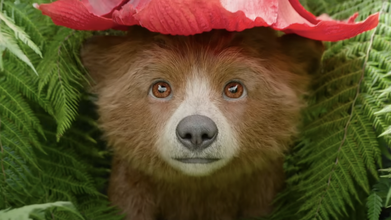 Paddington In Peru
