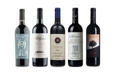 Bolgheri wines