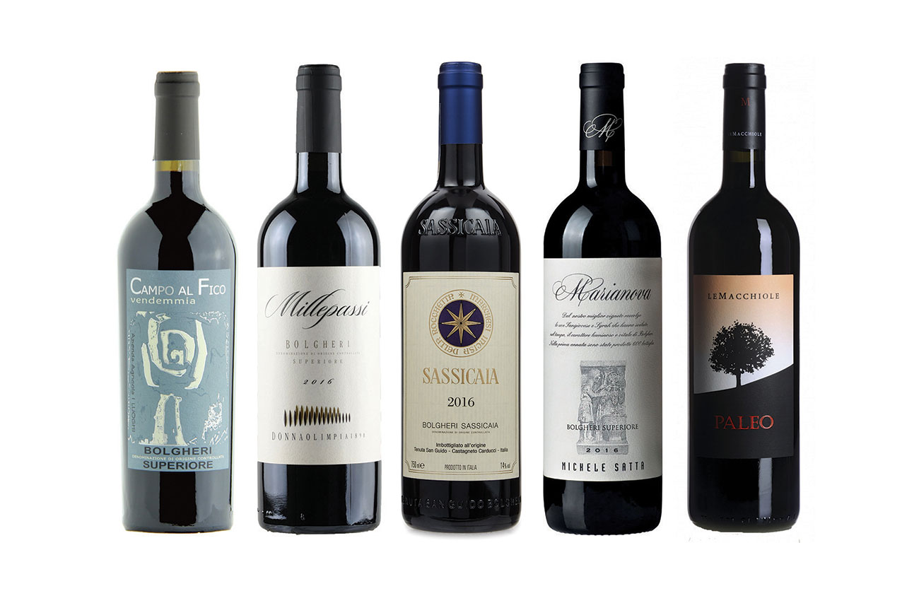 Bolgheri wines