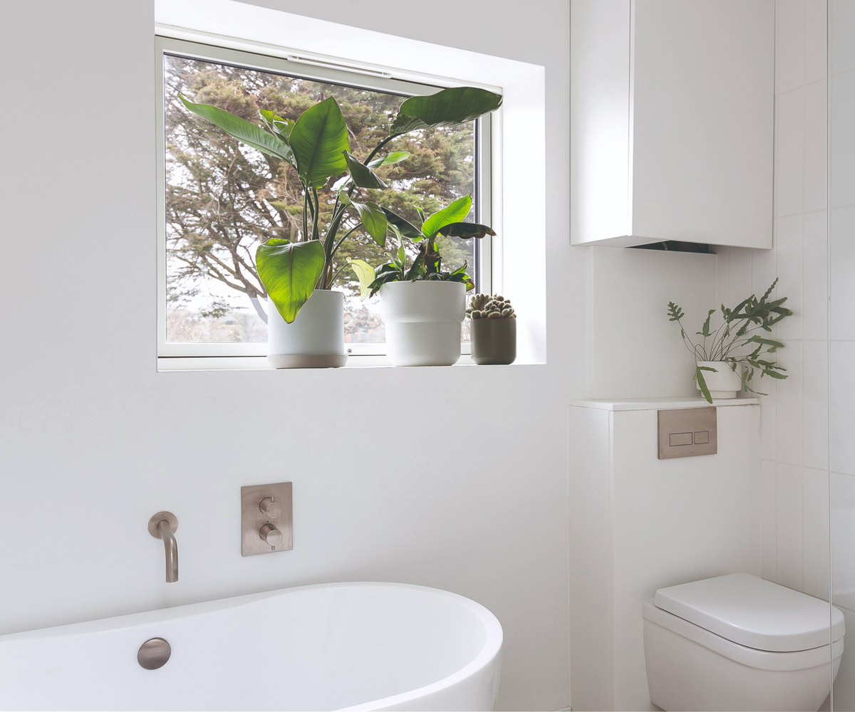 Bathroom with white walls and three plants in a window above the bath