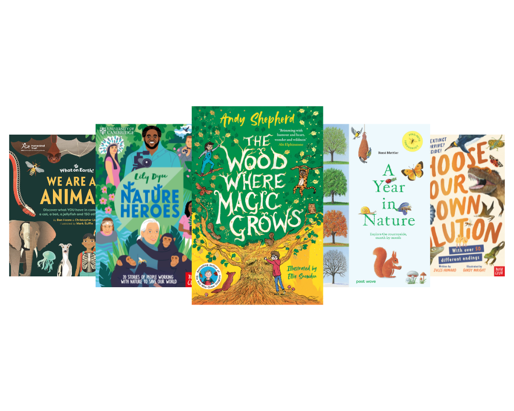 Book Bundle