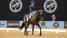 Will Coleman and Diabolo in the Kentucky Three-Day Event dressage 2026.