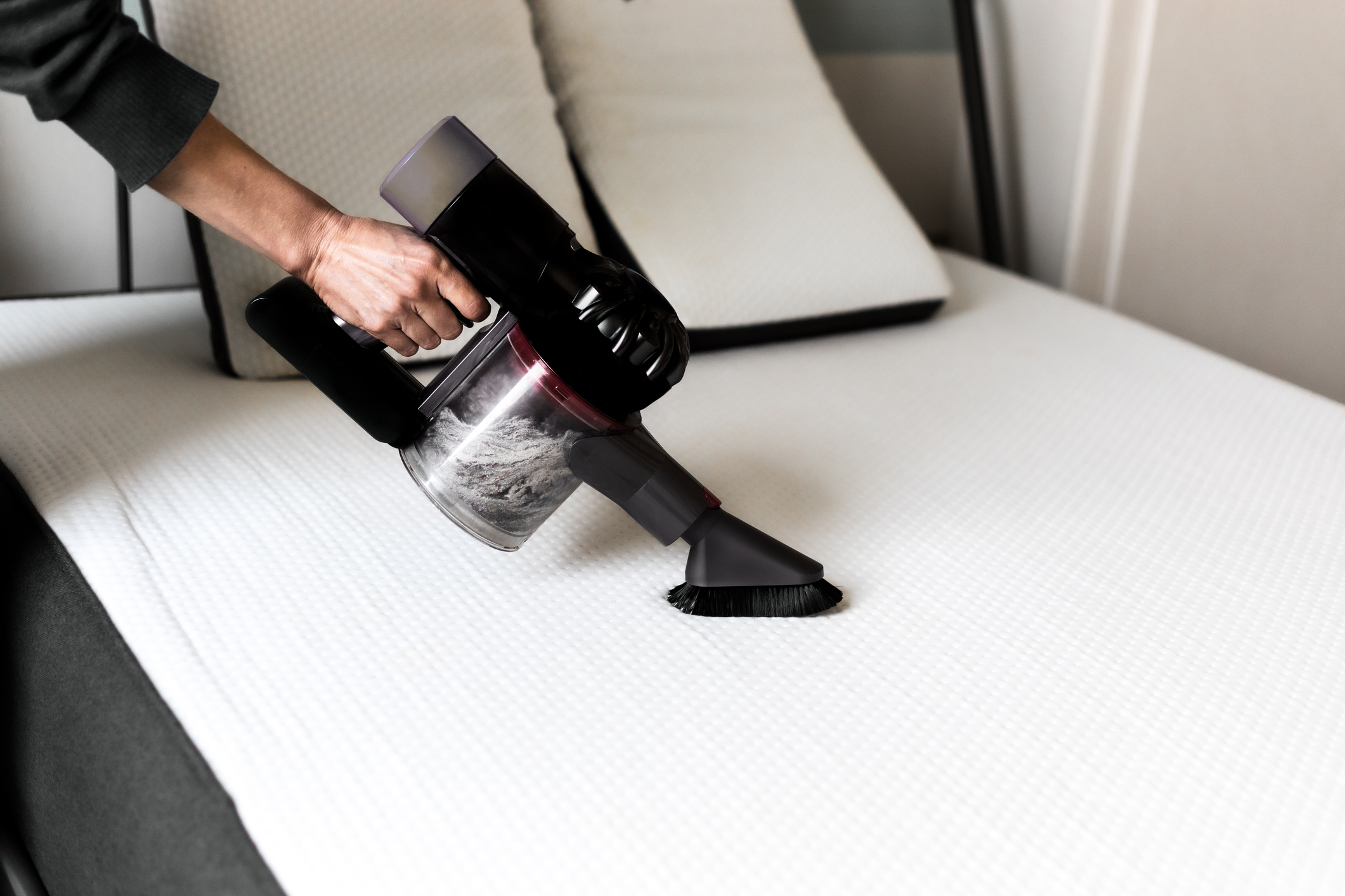 clean sleep mattress cleaner net worth