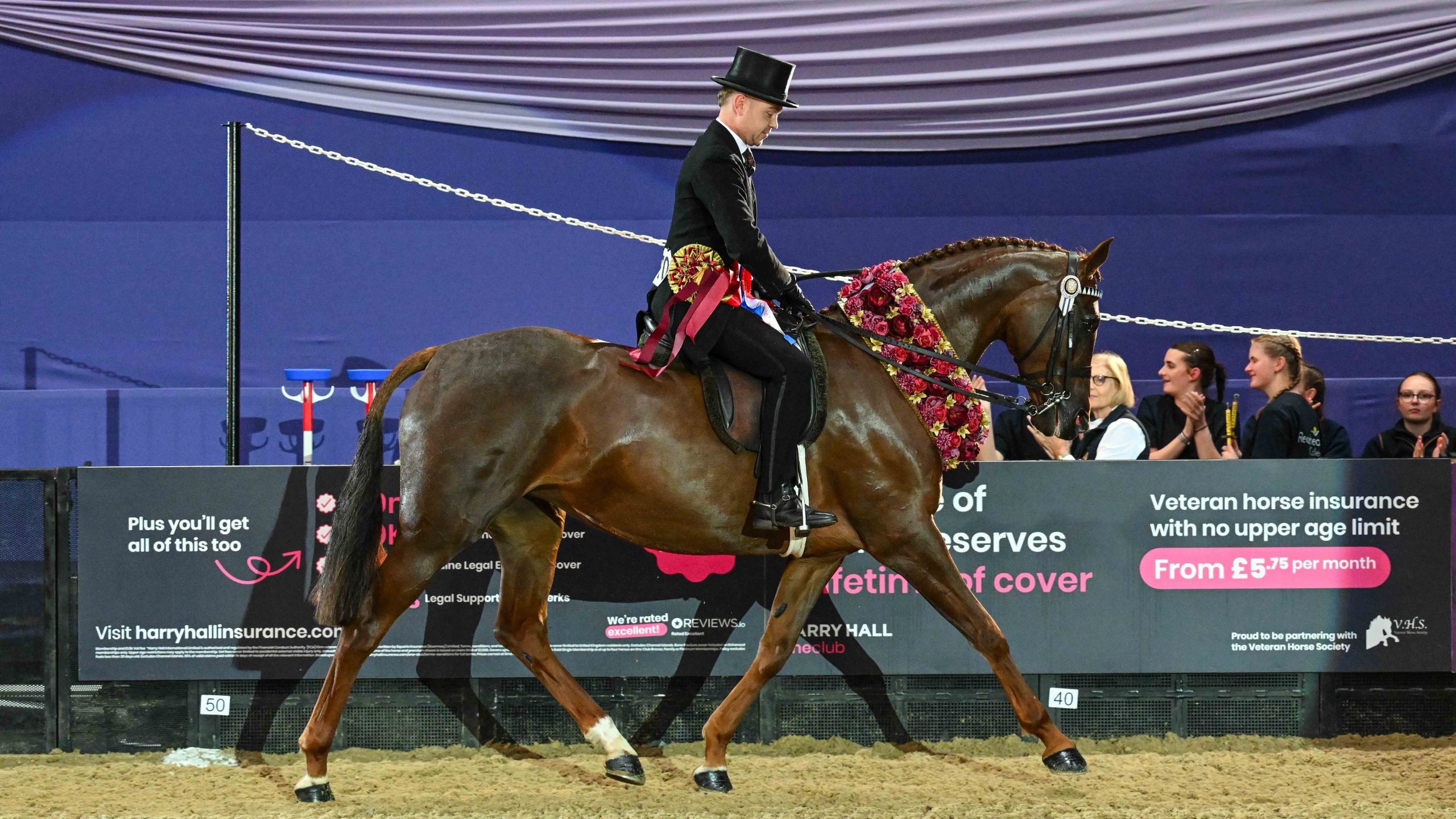 Chestnut mare Copybush So Fashion and Will Morton wear their champion sash on their lap of honour at HOYS 2026