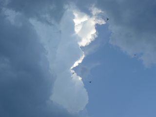 Swallows fly beneath clouds.