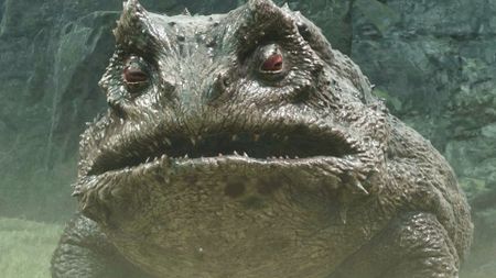 Mortal Shell 2's Gorf, a giant toad, is central to his own important storyline.