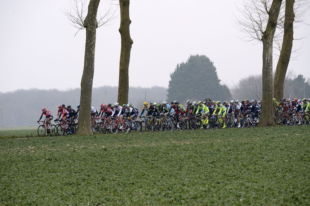The pack rides during the first stage of the 73rd edition of the Paris-Nice.