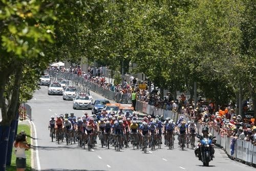 The peloton