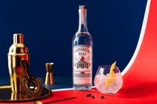 A bottle of gin, cocktail shaker and glass against a red and blue background
