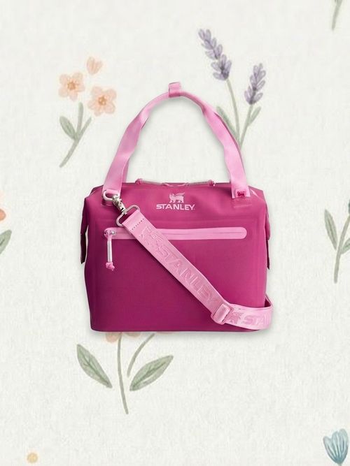 Mini Soft Cooler Bag and Lunch Box